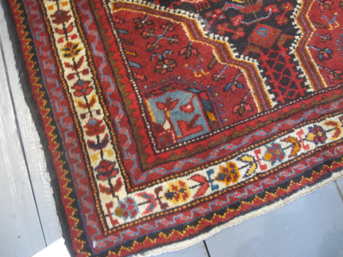 Narrow Hamadan Runner